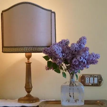 Casa Forster Bed & Breakfast