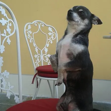 Bed & Breakfast Casa Forster Cannero Riviera